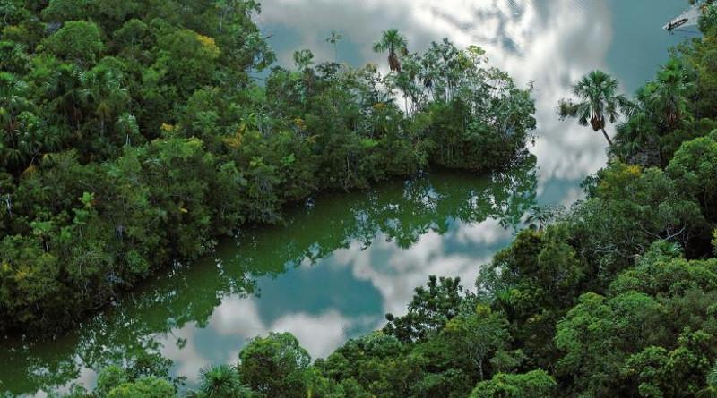 Длина Амазонки - самой опасной реки в мире