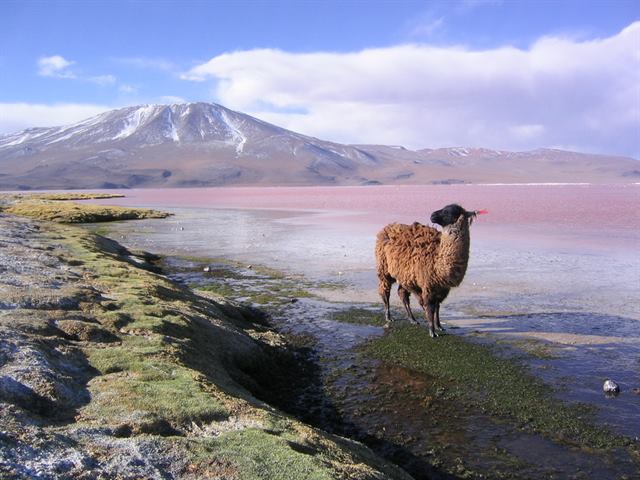 Высота гор Анды: расположение на карте и красивые фото
