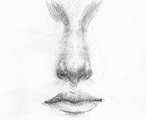Как нарисовать нос человека в анфас: пошаговый метод