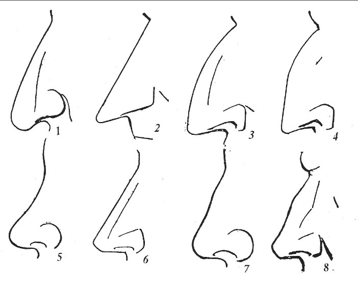 Как нарисовать нос в профиль: простой и доступный метод