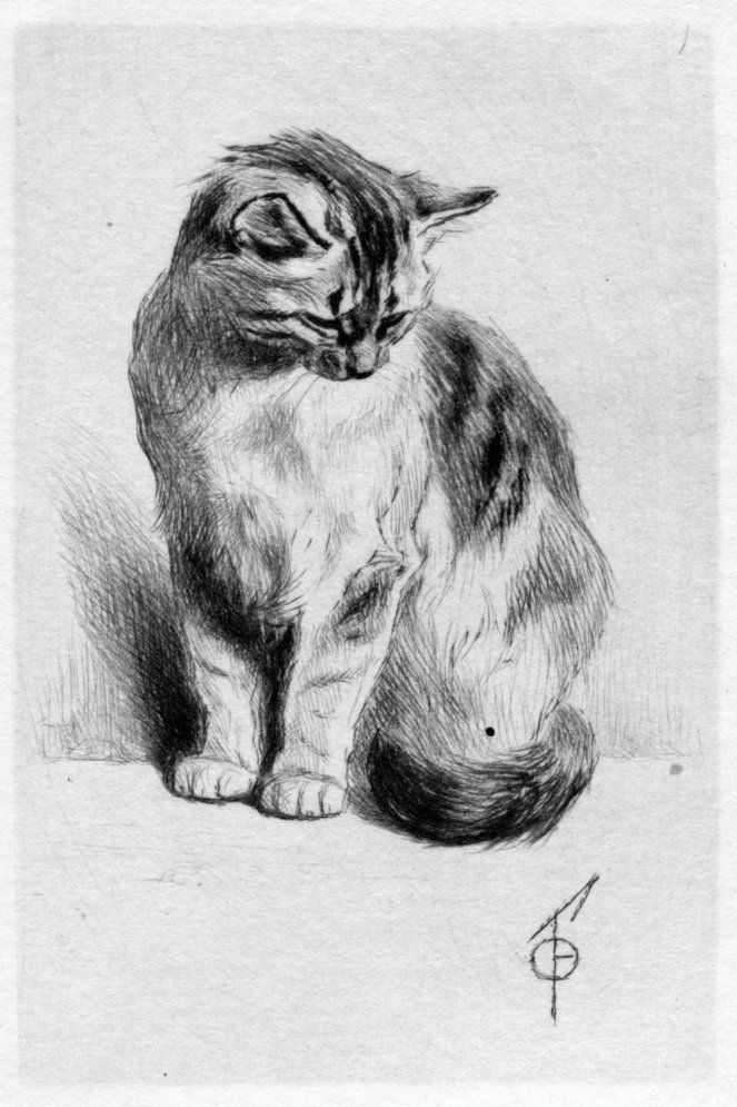 Как нарисовать кошку карандашом: рисуем поэтапно
