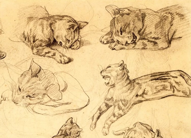 Как нарисовать кошку карандашом: рисуем поэтапно