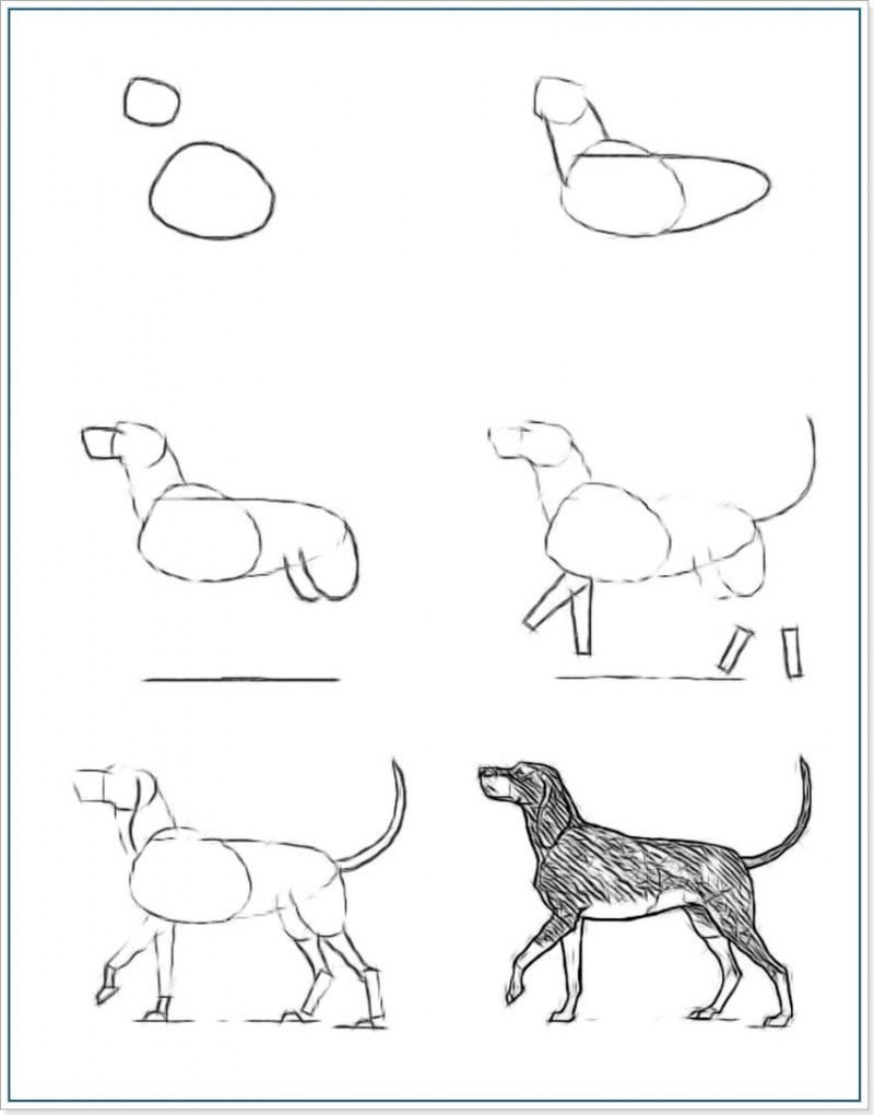 Как нарисовать собаку карандашом: легко и просто для начинающих